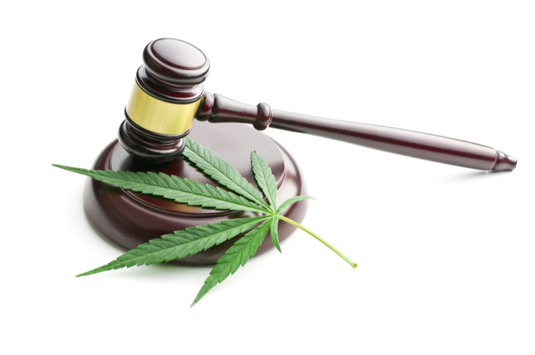 cannabis leaf and gavel web