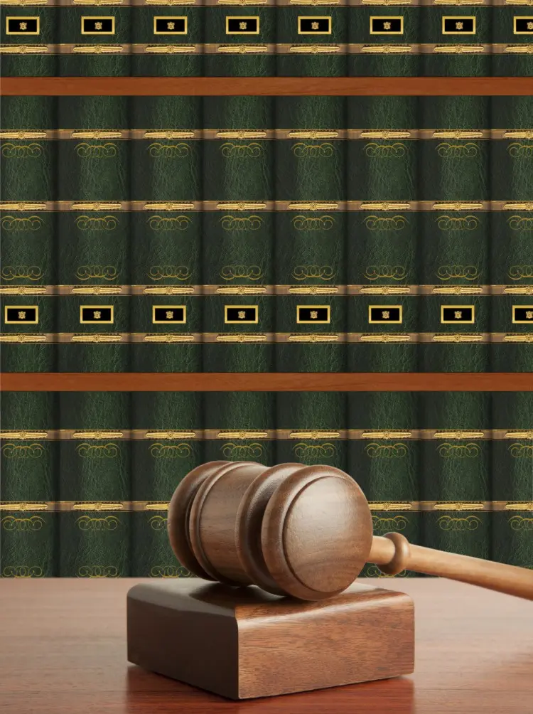 Fotolia_39782519_Gavel-and-Books-e1444764935683