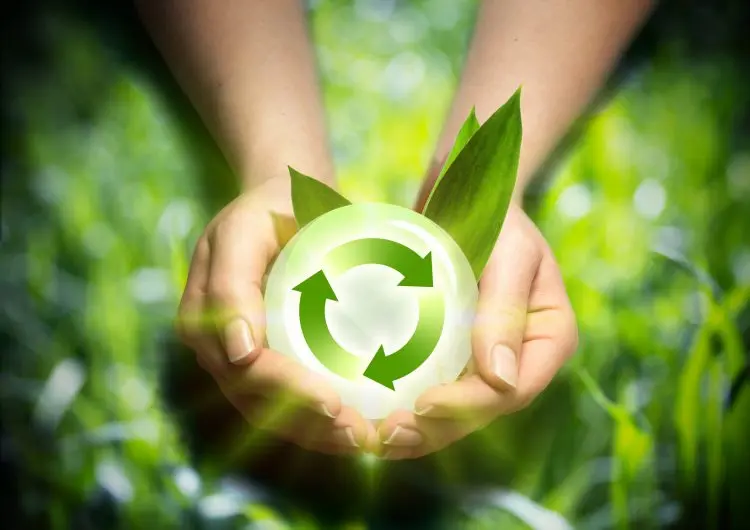 Fotolia_51335947_renewable-energy-in-the-hands_M-e1479489190889