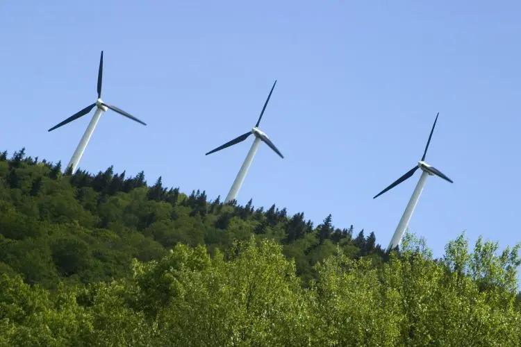Fotolia_804771_Windmills-in-field_M-e1491337659621