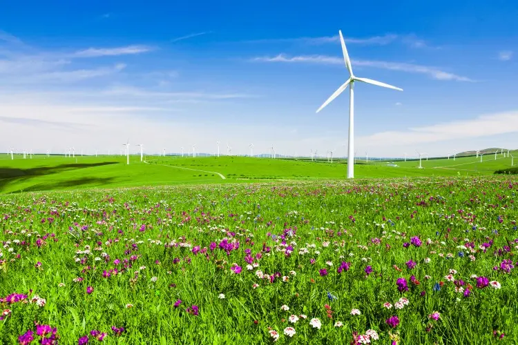 Fotolia_82850425_Wind-turbine-in-field_M-e1446146670134