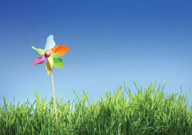 Pinwheel-Colourful-Grass-Web