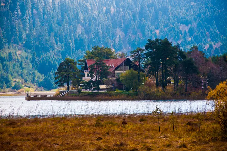 Remote-Home-web
