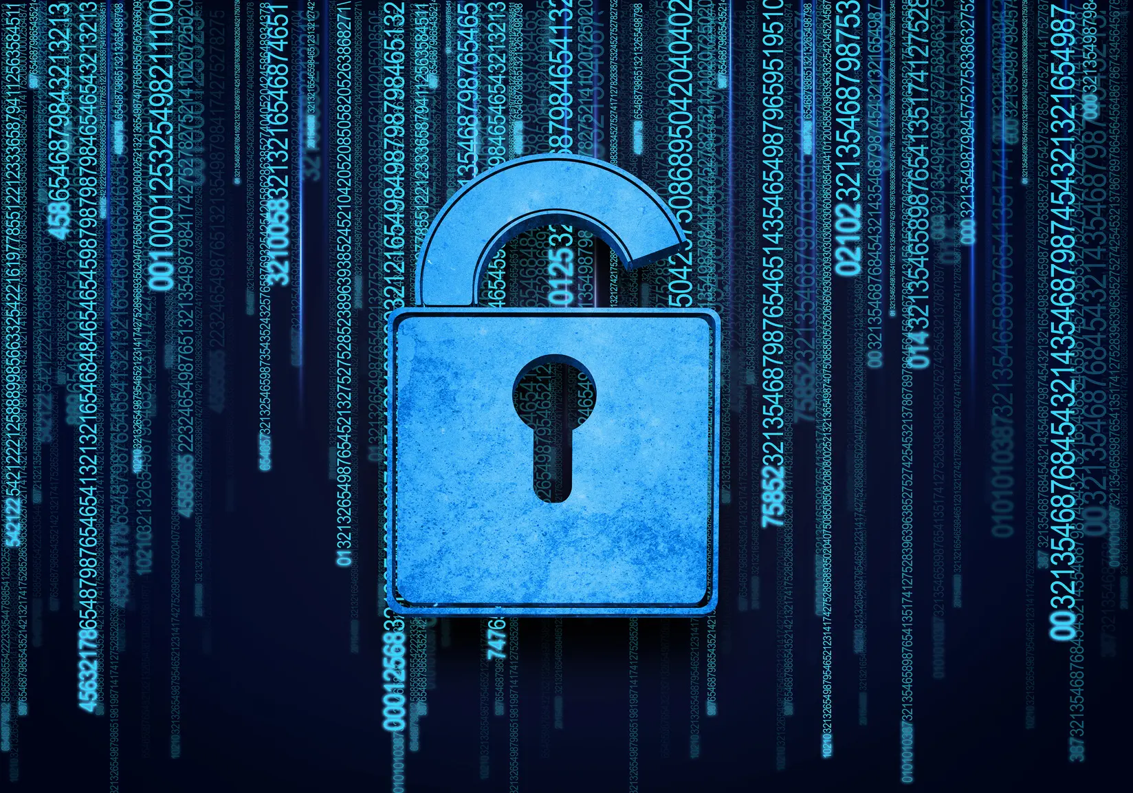 Fotolia_68306742_Lock Computer