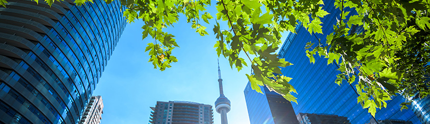 Downtown Toronto - CN Tower and Surrounding Buildings