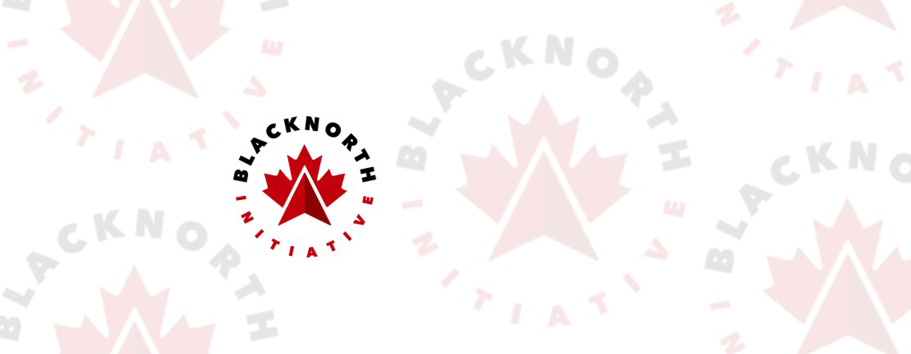 blacknorth_TopWebsiteBanner_with_logo_light