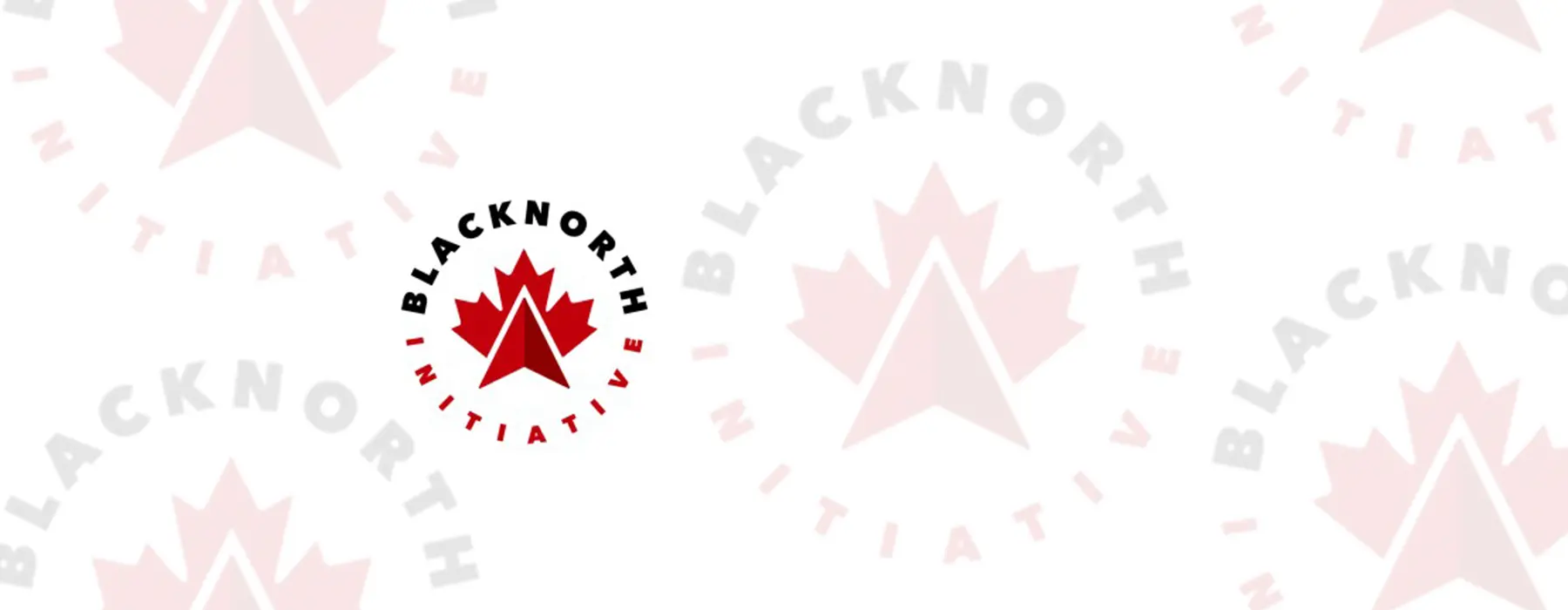 blacknorth_TopWebsiteBanner_with_logo_light