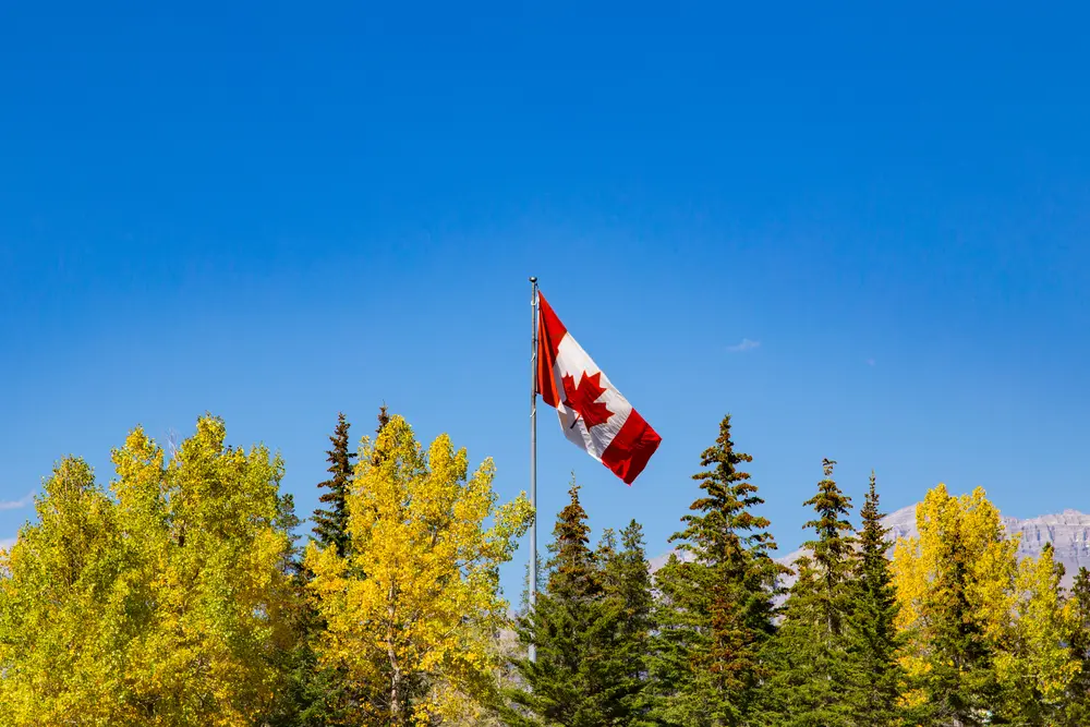 canada flag trees shutterstock_566083387