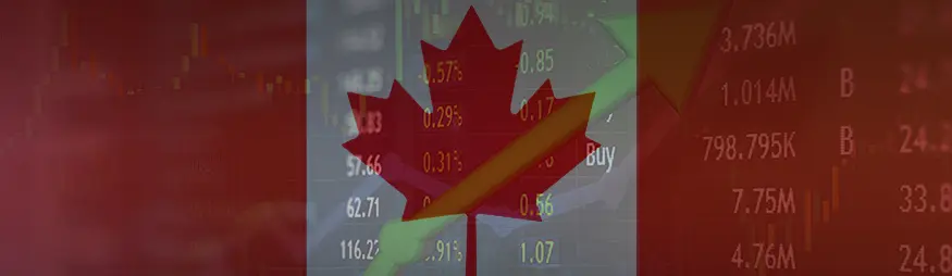 Feb 6 - Going Public in Canada Website