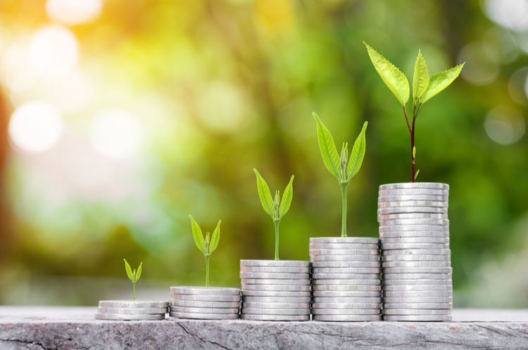 Stacks of coins with plants growing from them