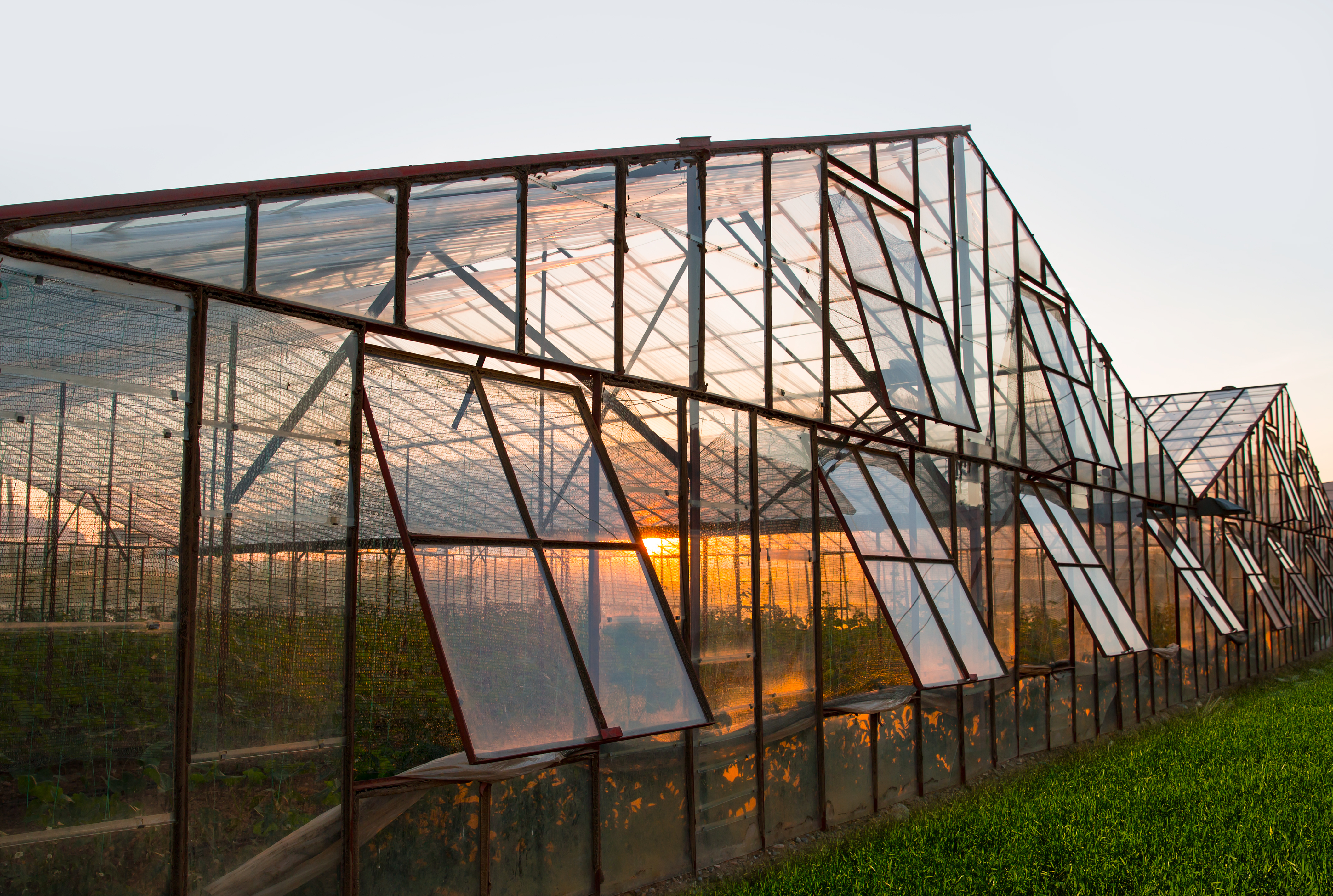 industrial greenhouse