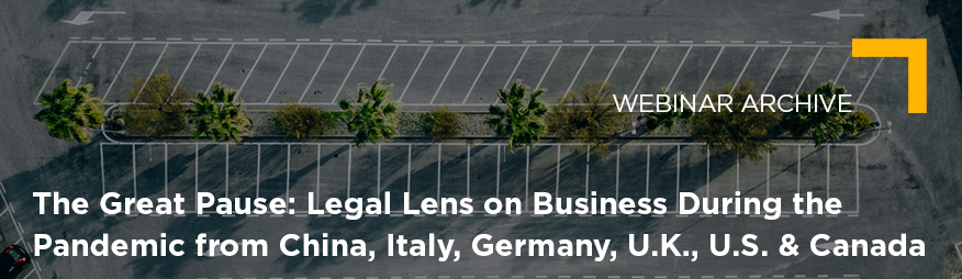 May 14 The Great Pause Legal Lens on Business During the Pandemic Archive 876x254