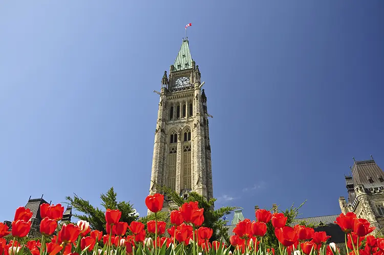 parliament shutterstock_web