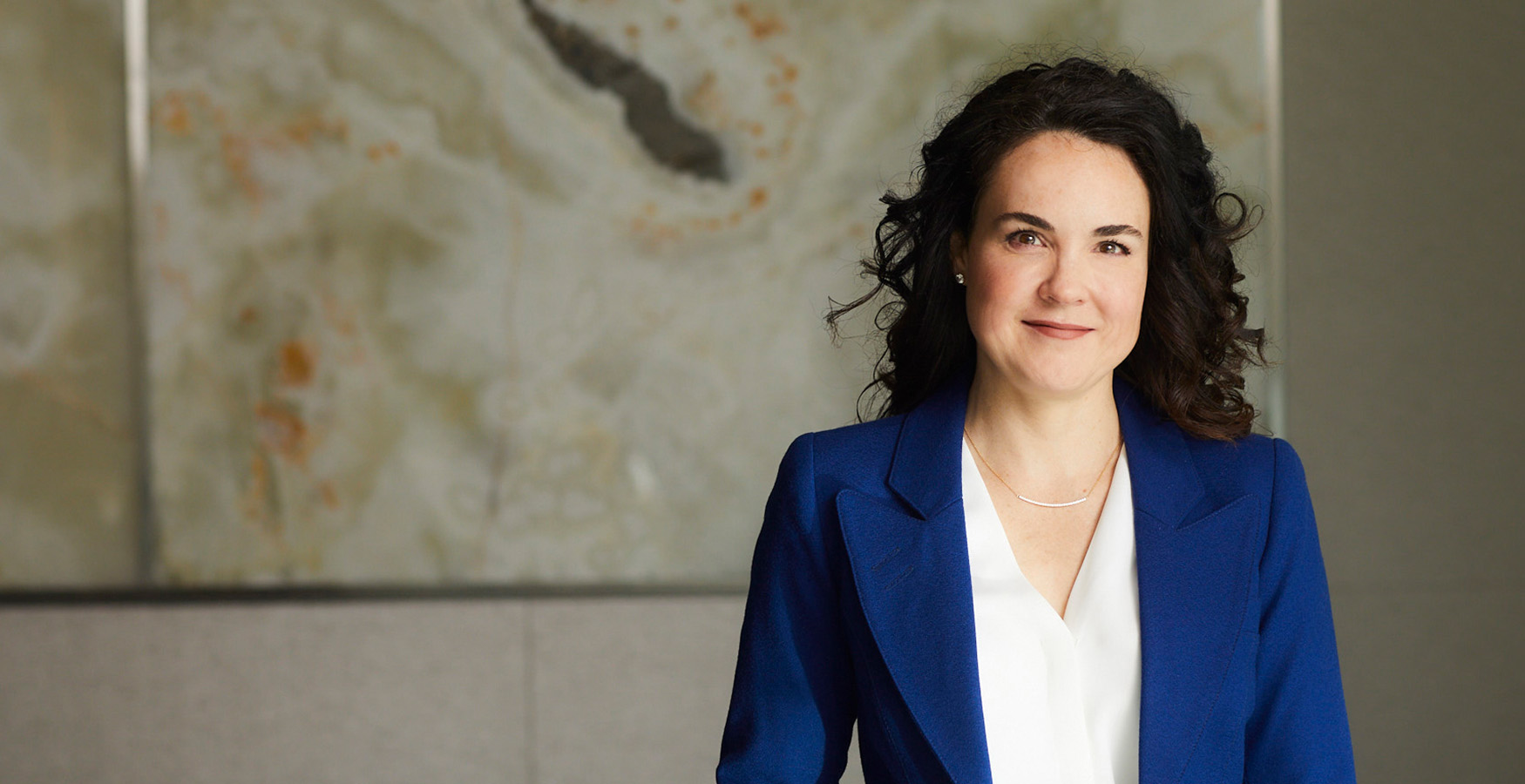Danielle M Shields Corporate Commercial Lawyer Aird Berlis Llp