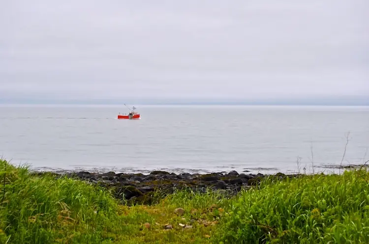 shutterstock_1295486317_Bay of Fundy_web