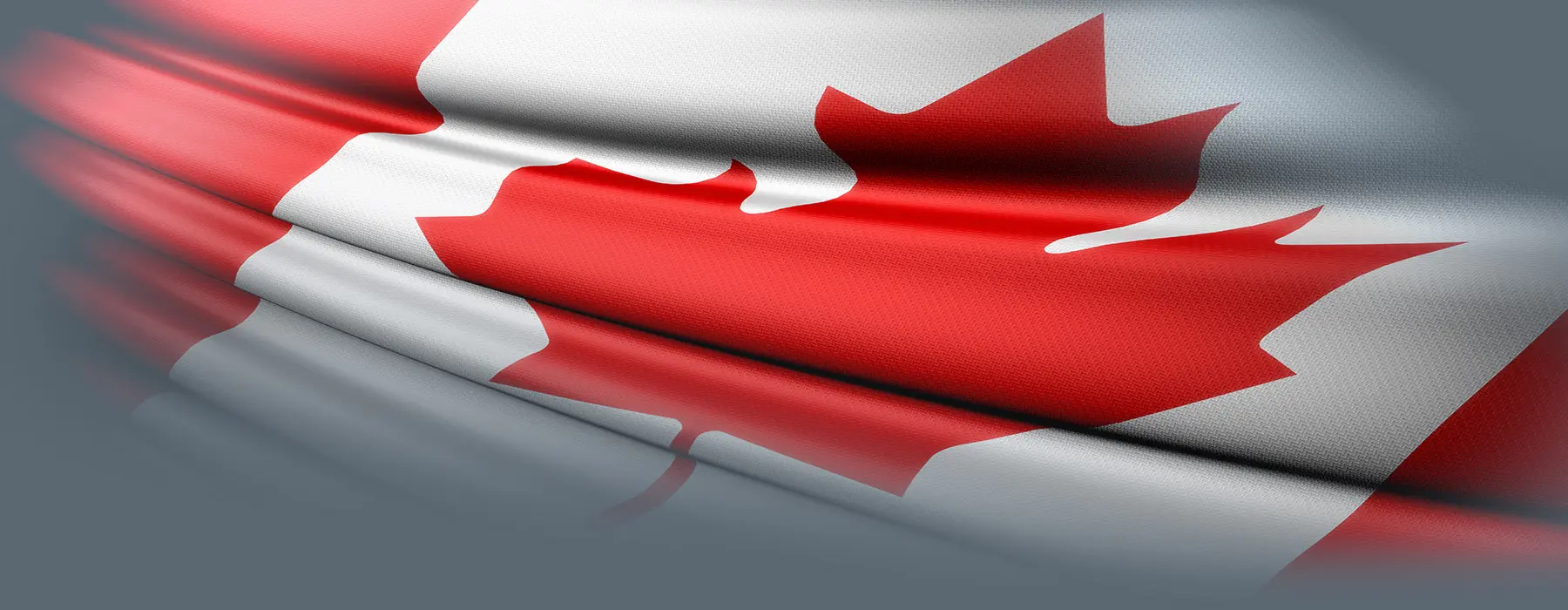 TopWebsiteBanner Federal Budget 2019
