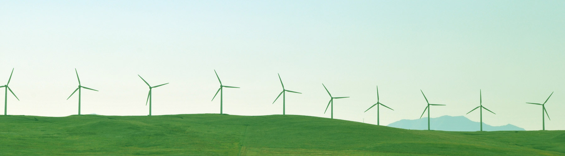 A windmill farm on green grassy hills.